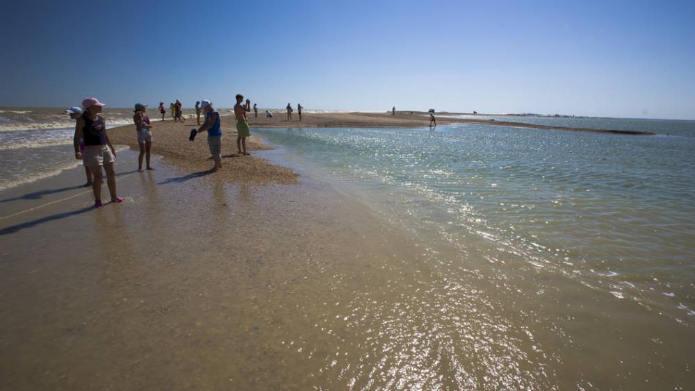 Вот вам и пустые пляжи: На Украине туристов распугали морские паразиты и медузы