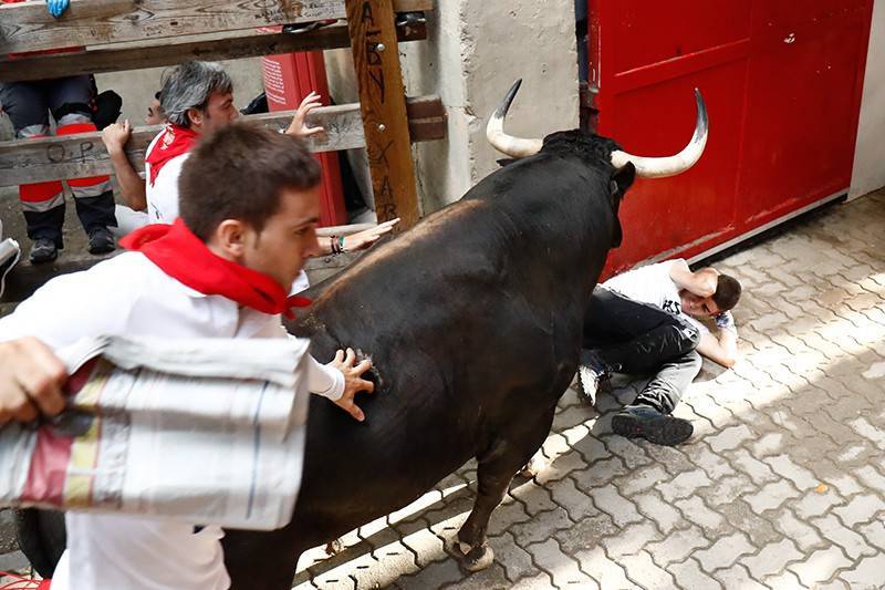 Кровавый фестиваль: во время забега в Испании быки забодали туристов