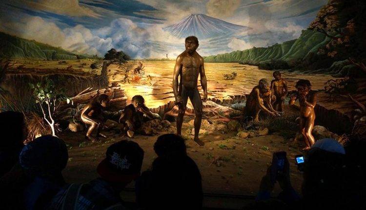 В Индонезии нашли останки древнего человека возрастом 1,8 млн лет