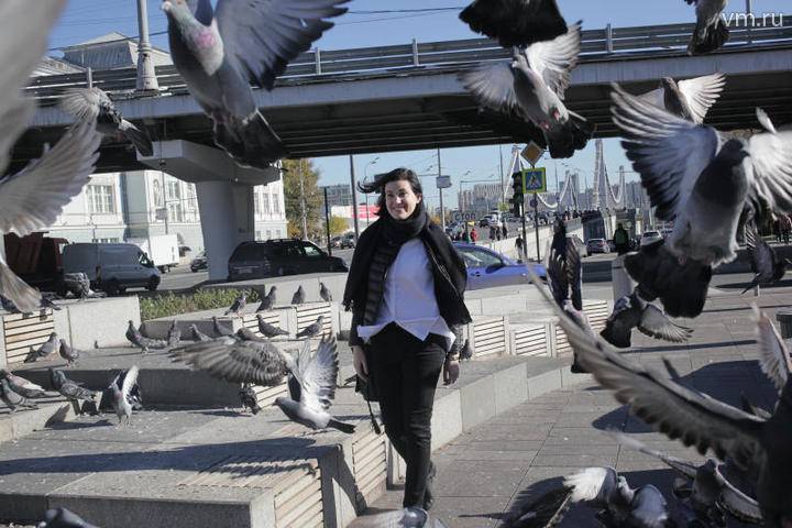 Жителей Магадана будут штрафовать за кормление голубей на 5 тысяч рублей