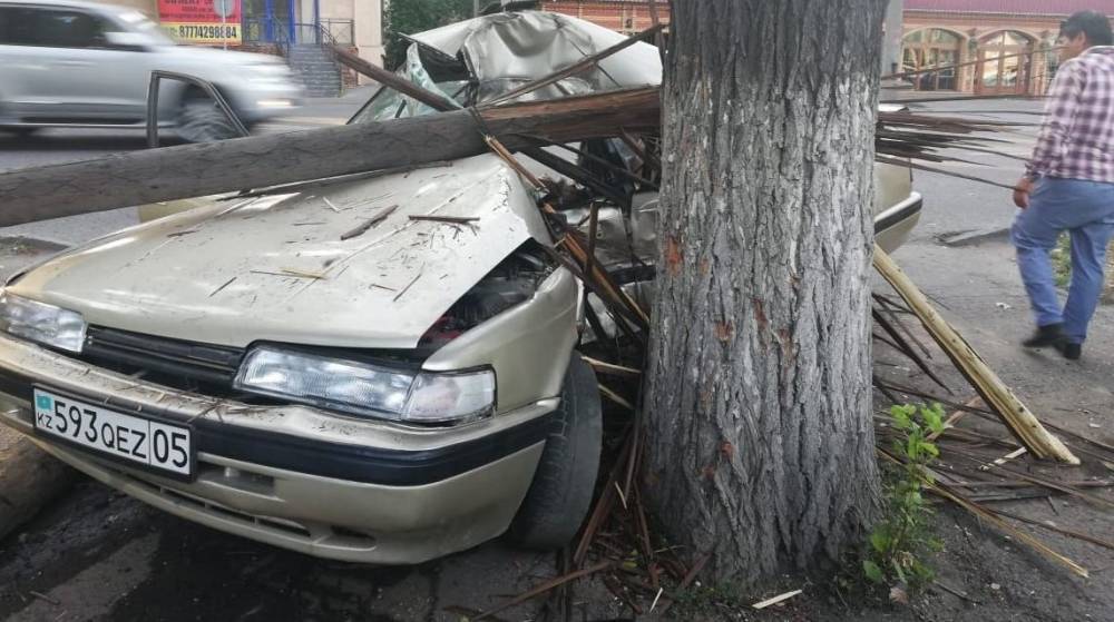Пассажирка вылетела из окна: автомобиль врезался в дерево в Алматы (фото)
