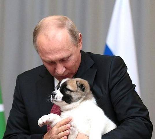 Пятиклассник из Красноярска получил собаку в подарок от Путина