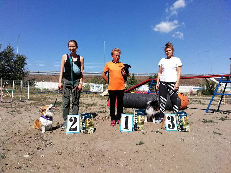 В Ростове провели соревнования по аджилити: кто выиграл Кубок города?