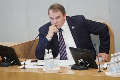 Депутат Госдумы назвал Украину и Грузию злобными инвалидами