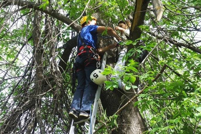 Спасатели в Уфе спасли застрявшую на дереве девушку (видео)
