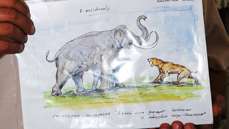 Слон, верблюд и носороги: гостей пещеры под "Тавридой" встретят ее обитатели