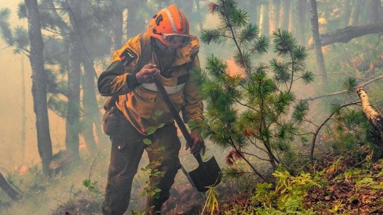 Риск возникновения лесных пожаров повысился в Хабаровском крае из-за жары