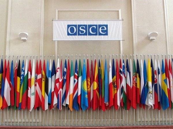 Совфед рассказал о декларации ОБСЕ для русофобов