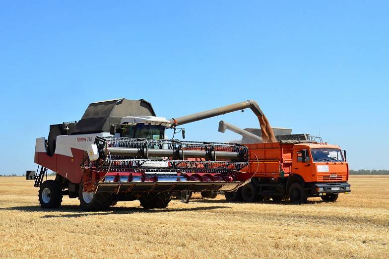 В Ростовской области собрали уже 6 млн тонн зерна