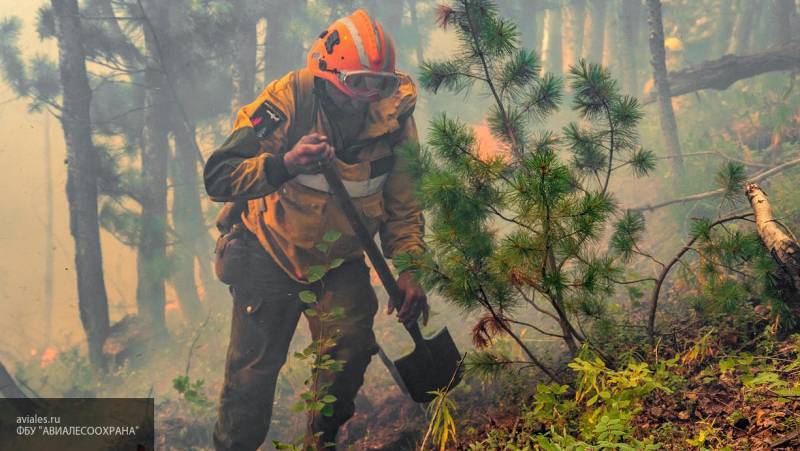Минприроды РФ предлагает выделить из фонда кабмина до 3 млрд рублей на тушение пожаров