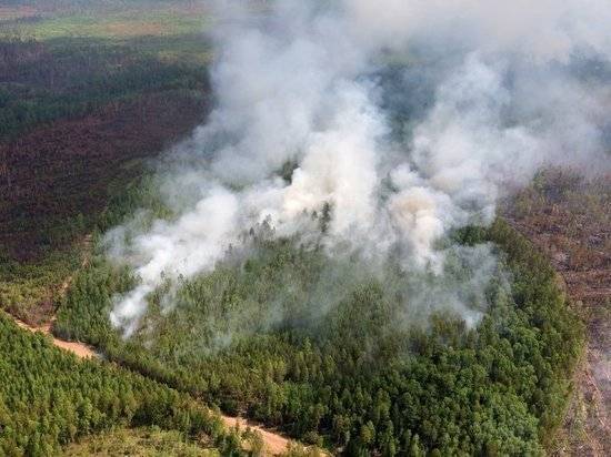 Сибирь пожирают лесные пожары: в Канаде дали совет