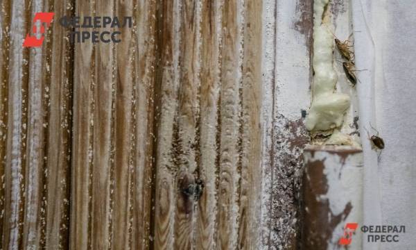 Ученые заявили, что уничтожить тараканов нереально | Москва | ФедералПресс