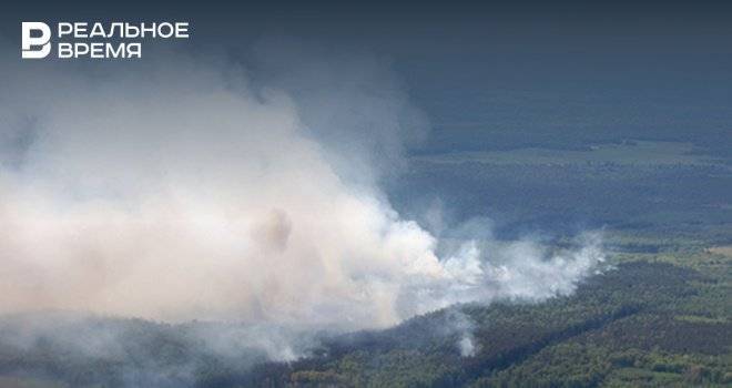 Путин поручил военным тушить лесные пожары в Сибири