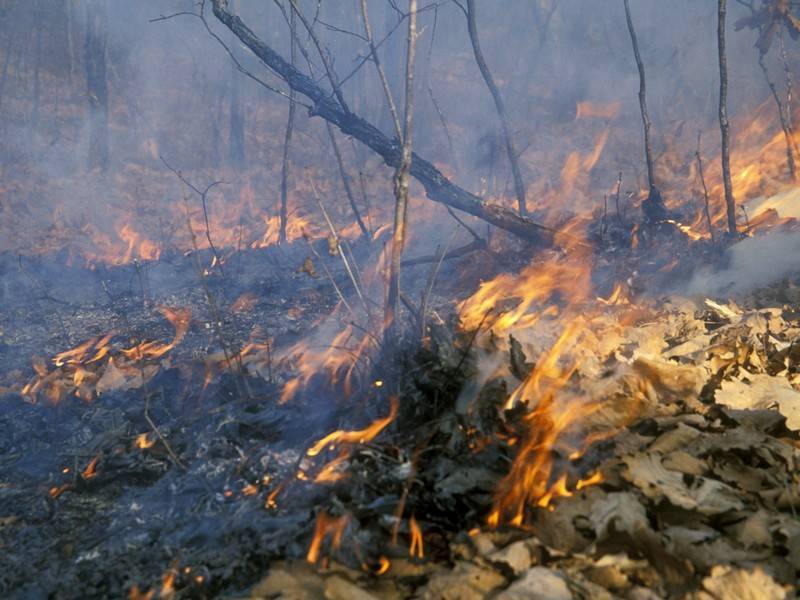 Дым от лесных пожаров в Сибири приближается в Аляске