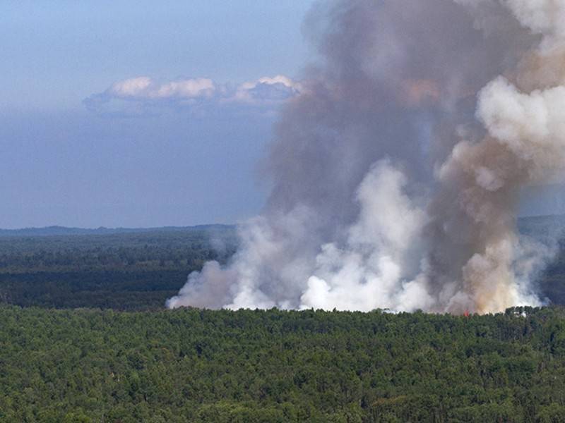 Росгидромет предупредил о ежегодном усугублении ситуации с лесными пожарами