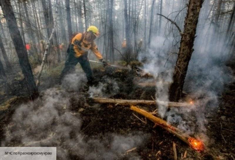 Минобороны и МЧС объединят усилия для тушения лесных пожаров