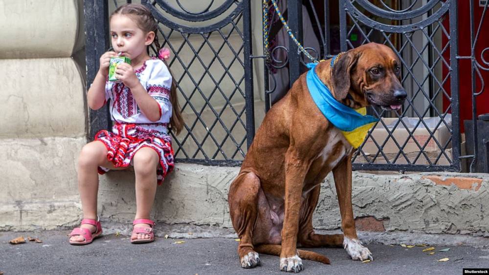 Медведев утвердил список потенциально опасных пород собак