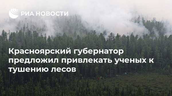 Красноярский губернатор предложил привлекать ученых к тушению лесов