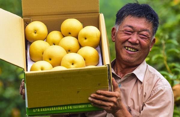 Онищенко предрёк повышение цен на фрукты в России из-за запрета китайской продукции
