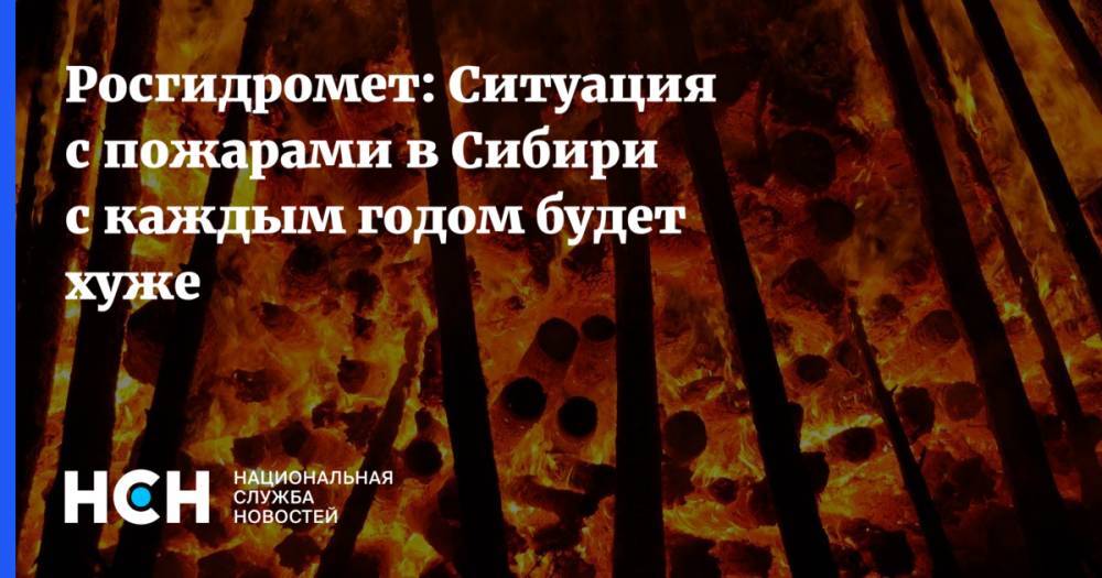 Росгидромет: Ситуация с пожарами в Сибири с каждым годом будет хуже