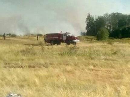 В Башкирии площадь лесного пожара в Зауралье достигла 76 гектаров