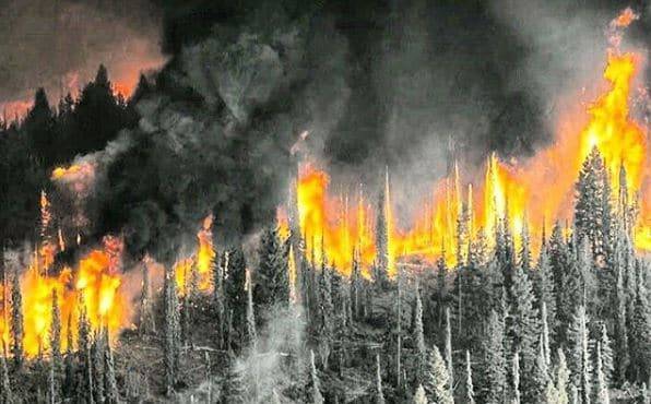 Как лесные пожары распространились по Сибири. Карта