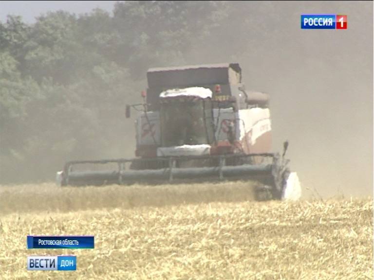13 районов Ростовской области завершили хлебоуборочную кампанию: кто в лидерах по урожаю