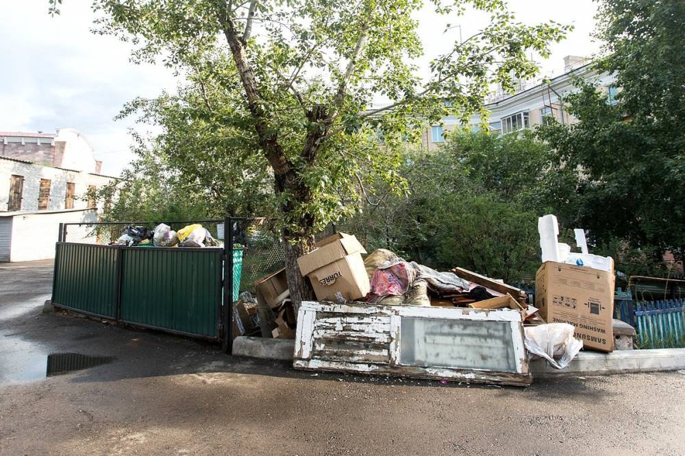 Руководство «ЭкоАльянса» посетовало на людей, которые мусорят там, где уже убрано
