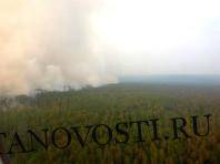 Погибшие от пожаров на севере Сибири леса будут восстанавливаться около 100 лет
