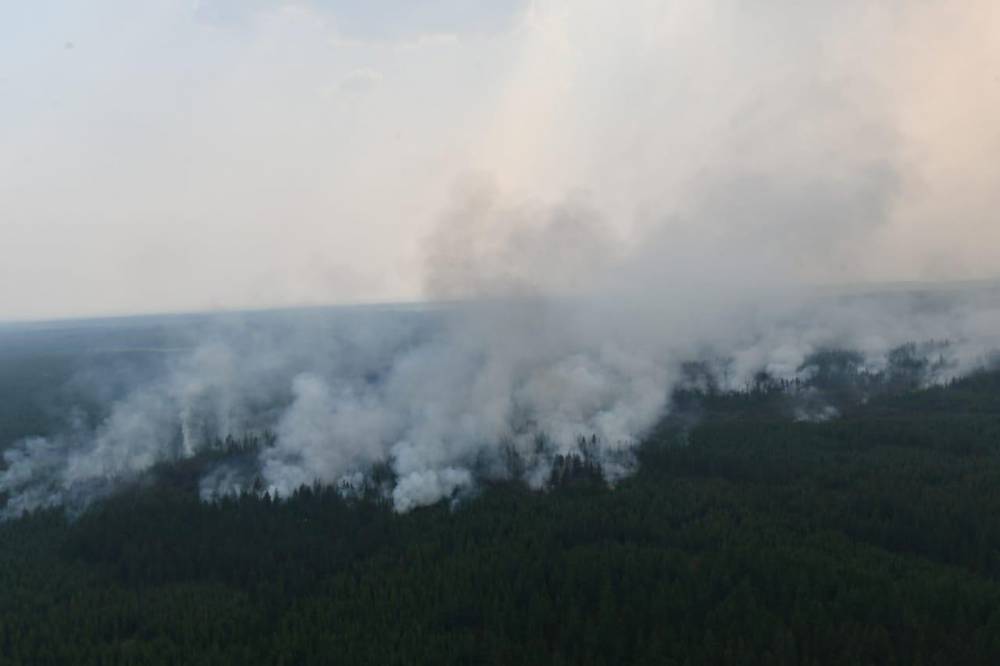 Авиация МЧС начала тушить лесные пожары в Красноярском крае