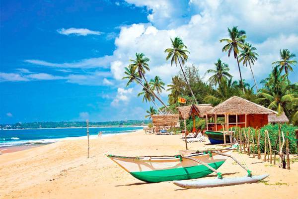 Власти Шри-Ланки ввели бесплатные визы для российских туристов