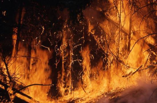 В МЧС назвали причину распространения лесных пожаров в Сибири