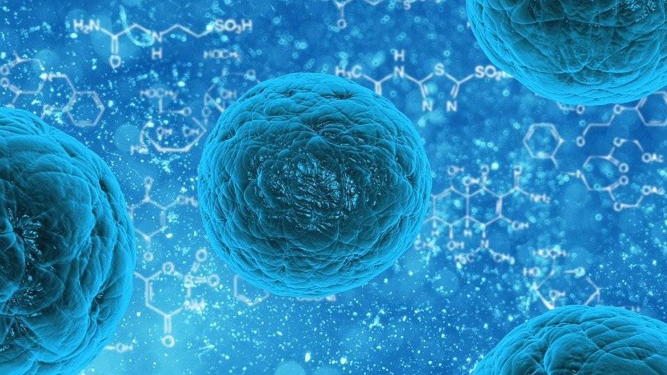 Ученые создали синтетические клетки для борьбы с раком