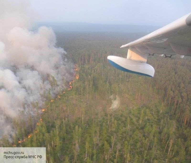 Следователи установят причины лесных пожаров в Сибири