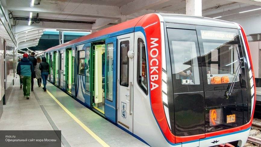 Из-за падения человека на рельсы в Москве остановилось движение метро по серой ветке