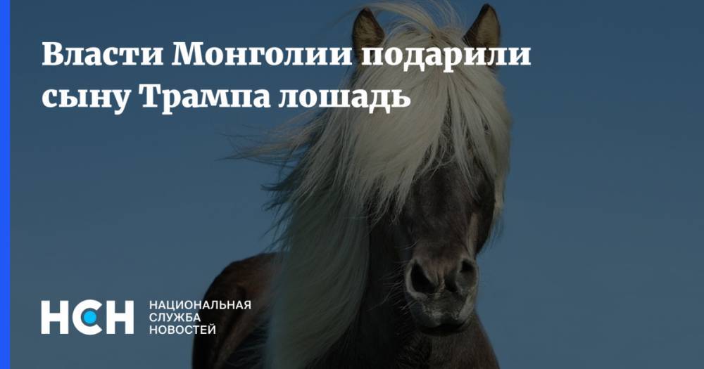 Власти Монголии подарили сыну Трампа лошадь
