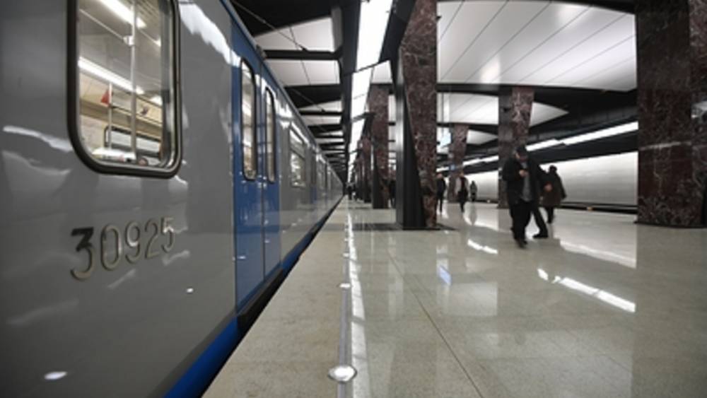 Ради пассажира в Москве частично обесточили метро. Поезда встали - источник