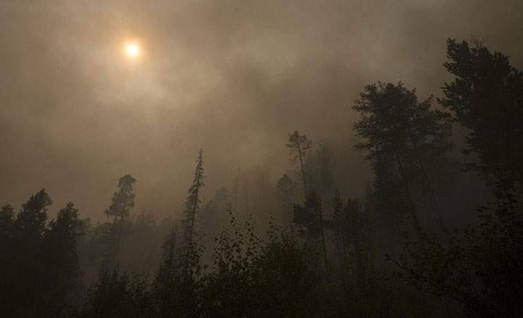 Бушующие в&nbsp;Сибири пожары приведут к&nbsp;глобальной катастрофе&nbsp;— эксперты