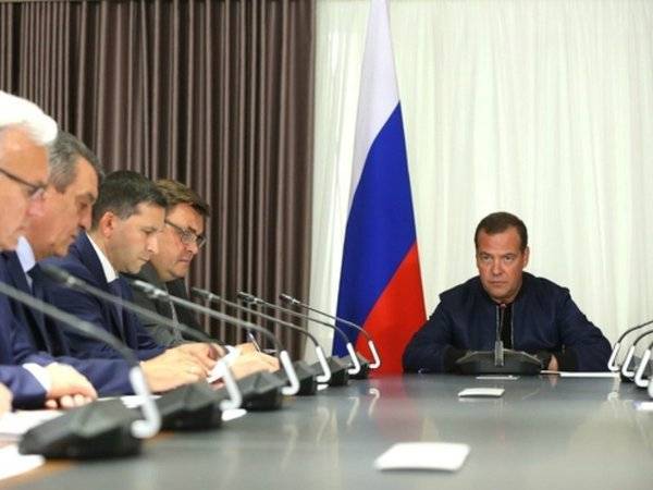 Медведев поручил выявить случаи поджогов леса с целью сокрытия незаконной вырубки