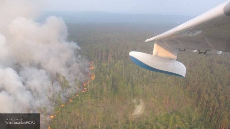 Площадь лесных пожаров в России перевалила за 3 миллиона гектаров