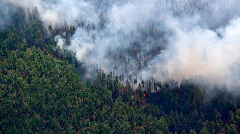 Пожары в Сибири угрожают экологии по всей стране