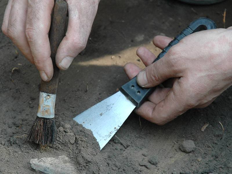 Археологи в Польше нашли клад из тысячи монет
