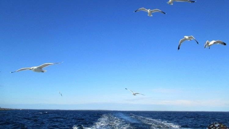 Вертолет МЧС вылетит на поиски пропавших в Белом море туристов