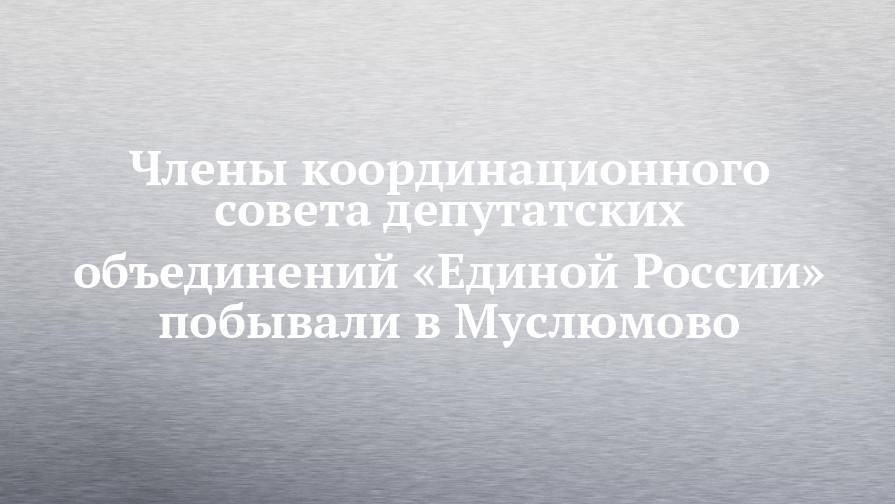 Члены координационного совета депутатских объединений «Единой России» побывали в Муслюмово