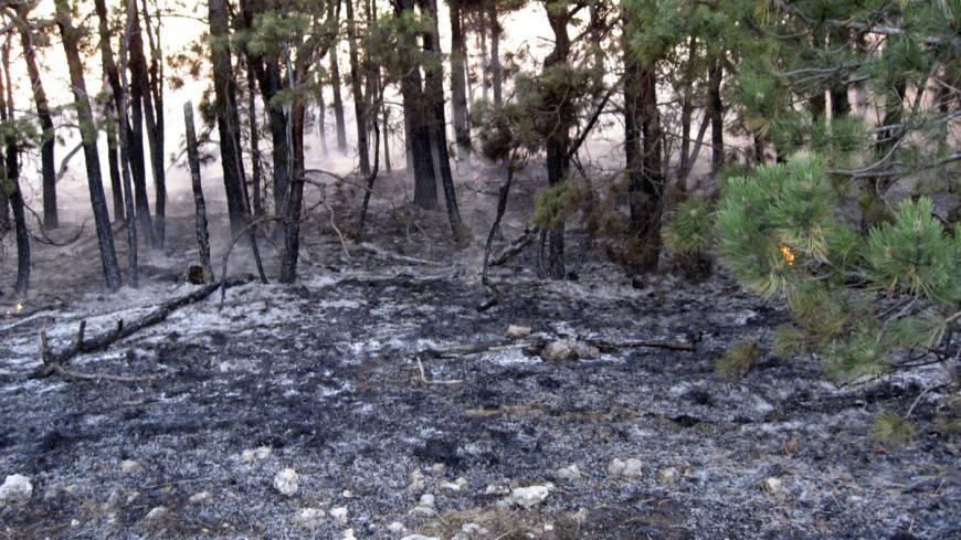 В Иркутской области локализовали семь лесных пожаров
