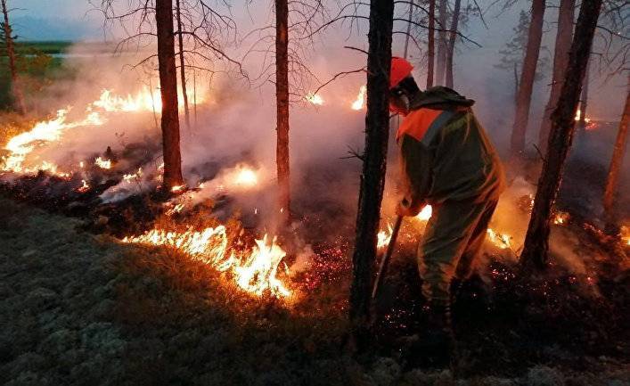 Politico (США): Трамп предлагает Путину помощь в борьбе с сибирскими лесными пожарами