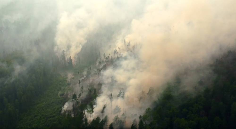 Дым от пожаров в Сибири добрался до США и Канады