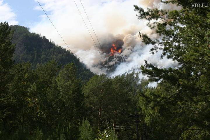 Представители МЧС назвали причину возникновения лесных пожаров в Сибири