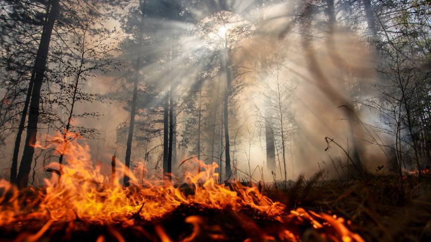 В МЧС назвали причины пожаров в Сибири