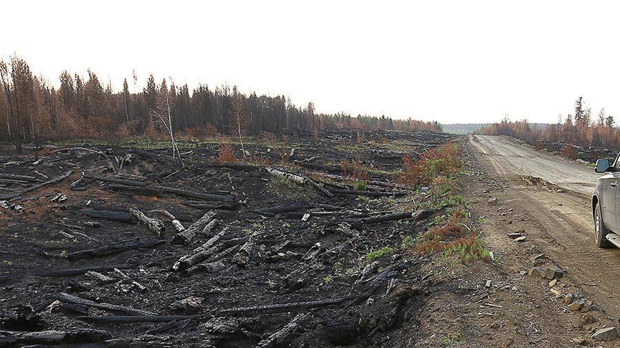 В МЧС назвали причину масштабного распространения пожаров в Сибири